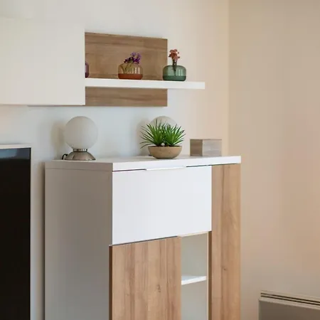 Carlos Au Pied Du Gros Horloge !